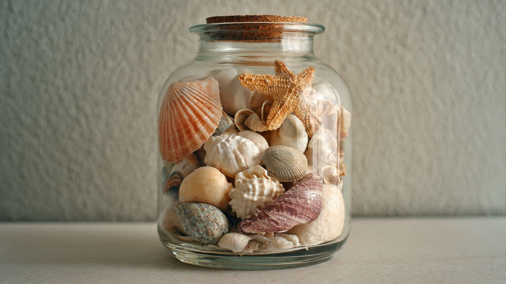 Coastal seashells displayed in a clear glass jar as a simple beach-inspired decor piece.