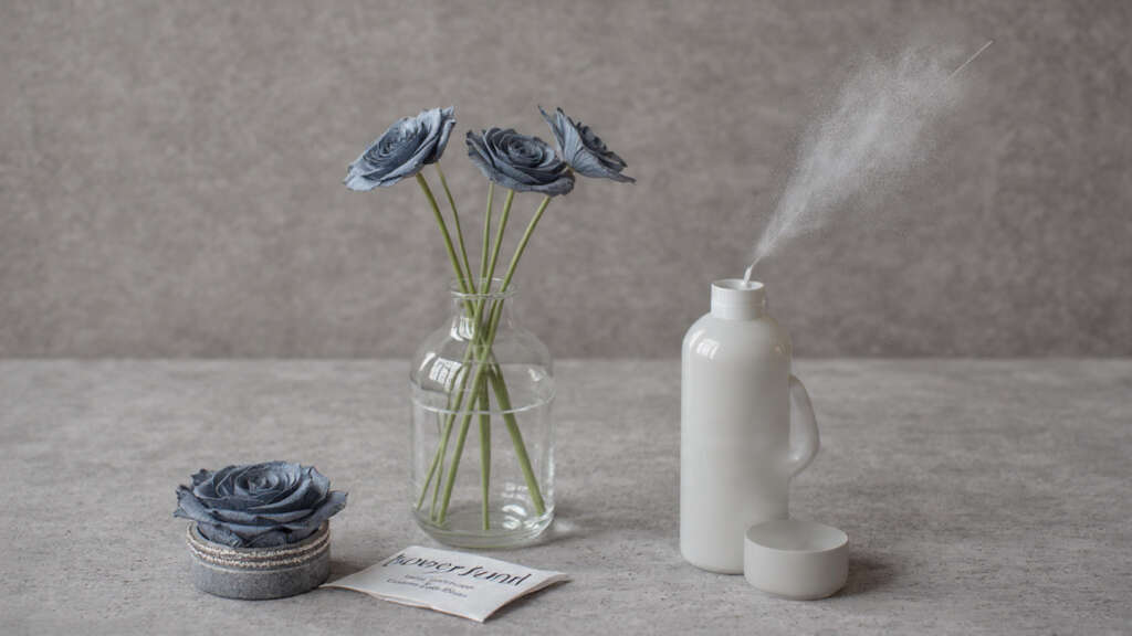 Step-by-step care guide for keeping ramo buchon fresh longer.