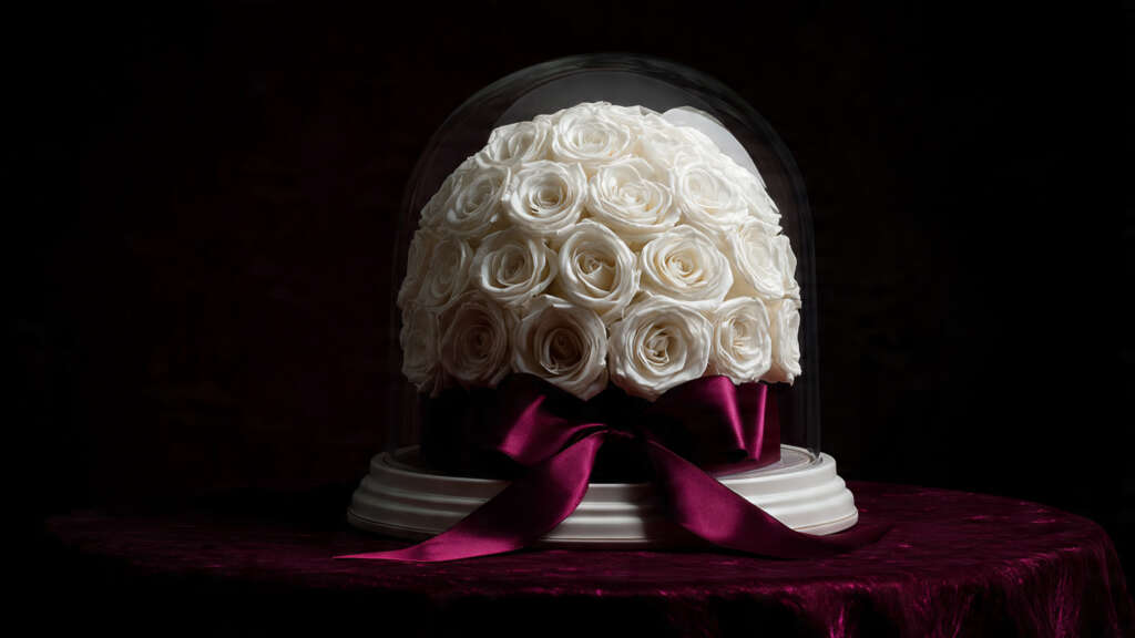 All-white minimalist ramo buchon with velvet ribbon.