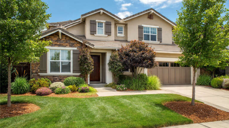 Small trees for landscaping in a modern front yard adding curb appeal
