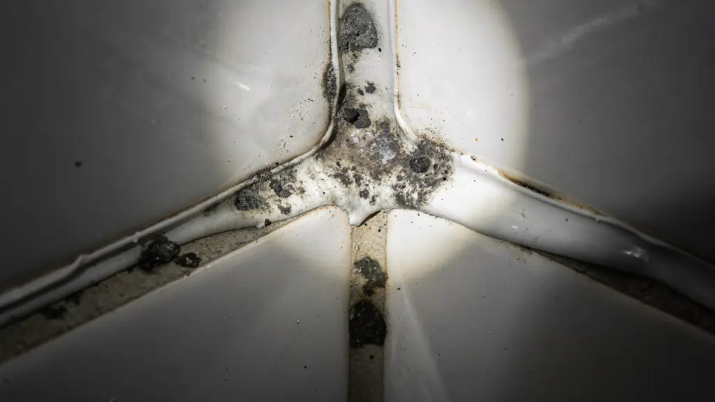 Black mould growing in bathroom tile grout and caulk around the shower